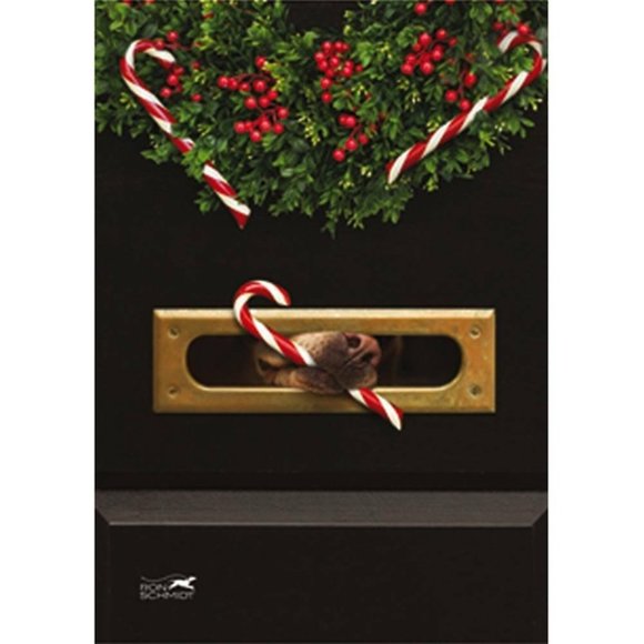 Christmas Garden Flag Double-Sided Candy Cane Dog Puppy Nose Mailbox 12.5x18in - Picture 1 of 1